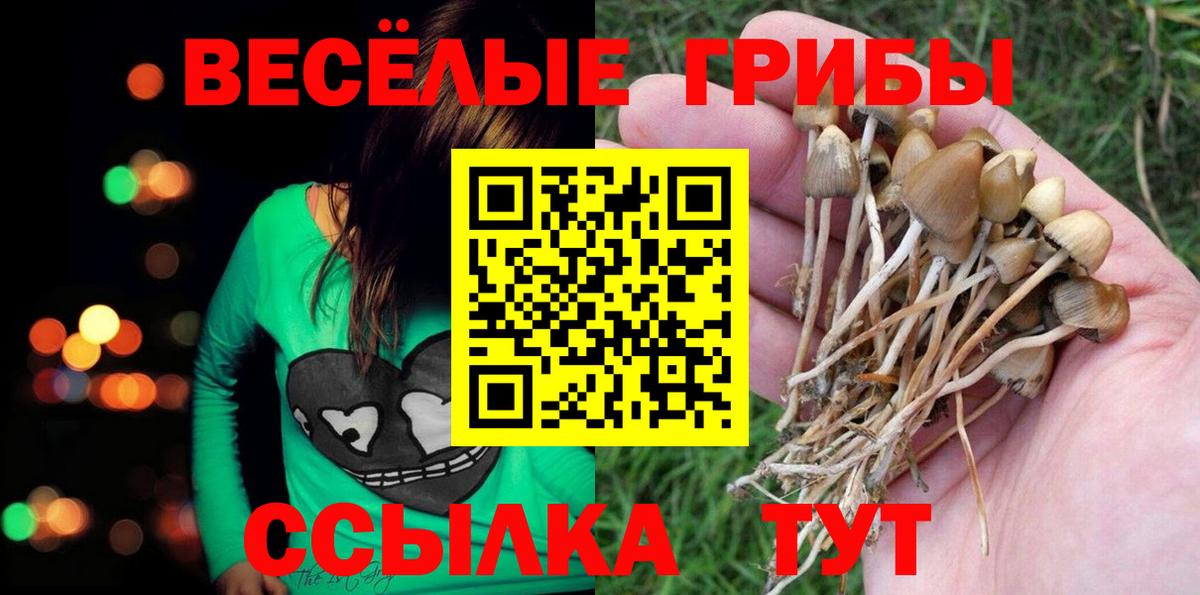Псилоцибиновые грибы MAGIC MUSHROOMS  Вход с VPN  Галлюциногенные грибы ЛСД  Долгопрудный 